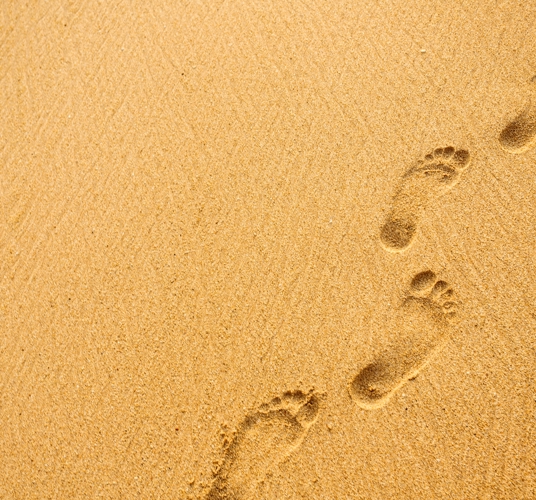 Shutterstock 2296500645