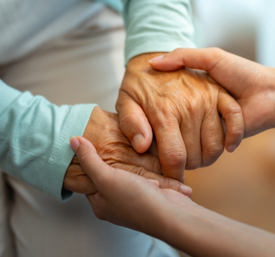 Shutterstock 2495032677